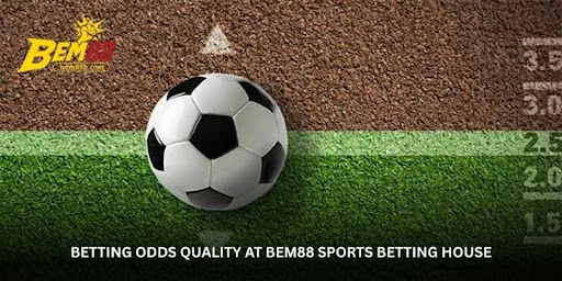 Bem88 Sportsbook Review - Why This Platform Attracts Bettors