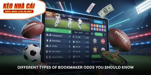 Bookmaker Odds in Sports Betting - From Basics to Advanced Insights