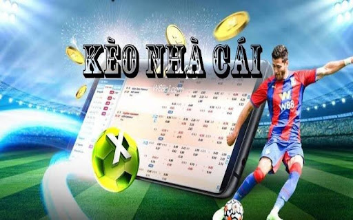 Thapcamtv Bookmaker Odds Analysis – Understanding the Right Approach to Betting