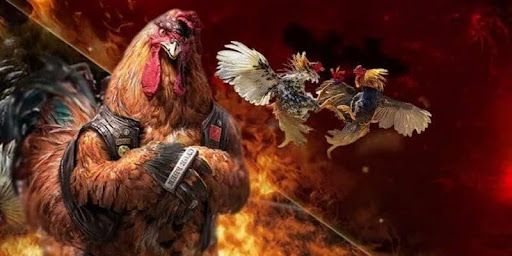 Cockfighting Hitclub – Experience Thrilling Online Game