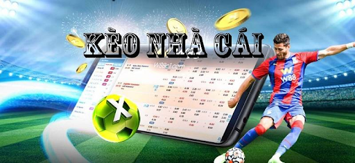 7M Football Odds – The Complete Guide to Live Odds and Match Analysis