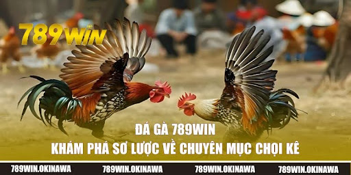Cockfighting 789WIN - Countless Top Matches With Big Rewards