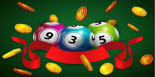FLY88 Betting House – Safe Betting, Premium Experience