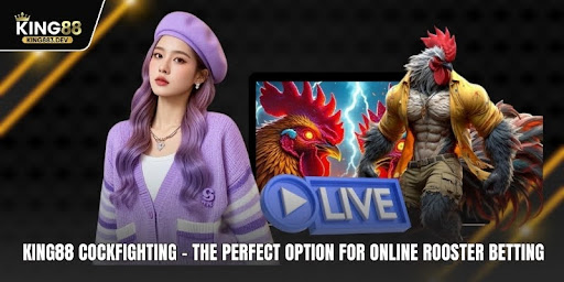 KING88 Cockfighting - The Perfect Option for Online Rooster betting.
