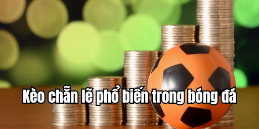 Rikbet - Mở Cánh Cửa May Mắn và Cơ Hội Thành Công
