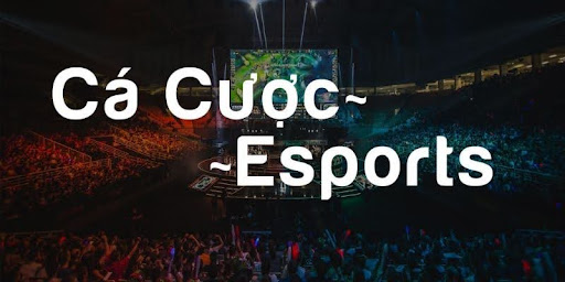 Esport OK9 - Bringing You The Ultimate Experience