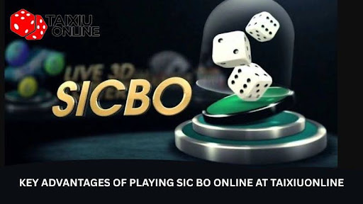 Reliable Online Sic Bo at taixiuonline – Experience Top-Level Gaming