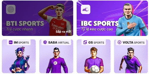 5 Criteria for Evaluating a Reputable Soccer Betting Site