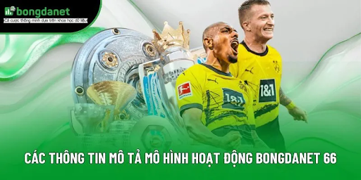 Bongdanet Match Schedule – Get All the Latest Football Match Information